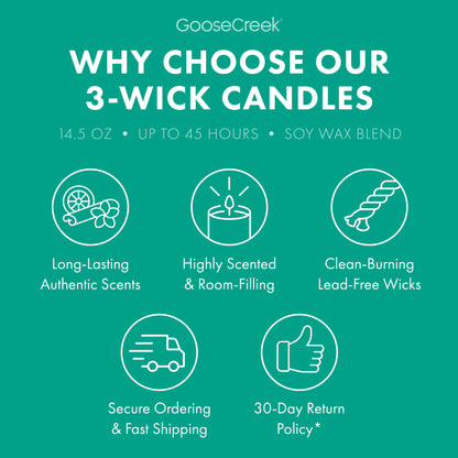 Angry Beavers Nickelodeon 3-Wick Candle
