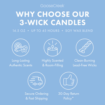 Blueberry Cheesecake 3-Wick Candle