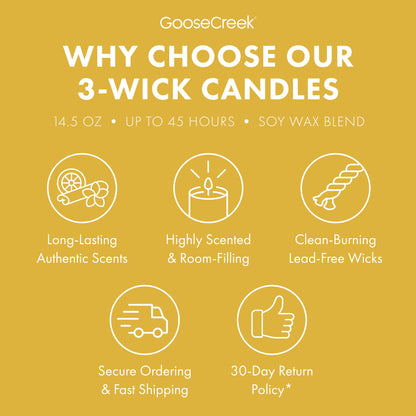 Catdog Nickelodeon 3-Wick Candle
